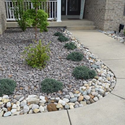 A garden with rocks and plants in the middle of it.